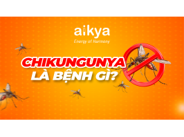 BỆNH CHIKUNGUNYA – NHỮNG ĐIỀU CẦN BIẾT