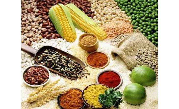 Những món ăn tốt nhất cho trẻ mọi lứa tuổi
