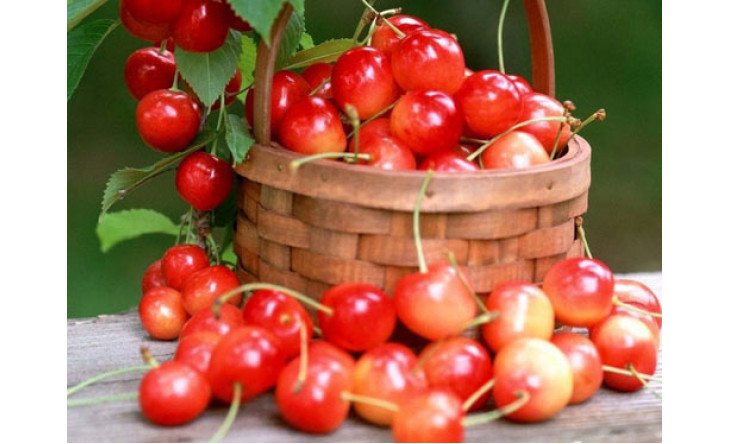 5 loại quả màu đỏ giúp ích cho sức khỏe