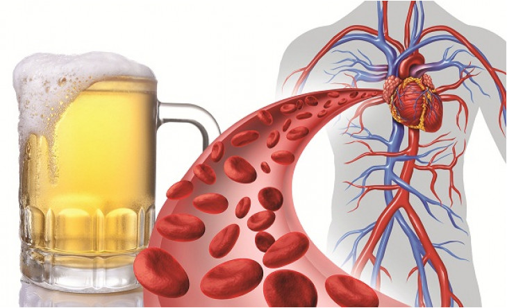 Rượu bia: Bạn và thù của tim mạch