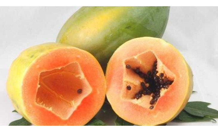 Phương thuốc từ đu đủ