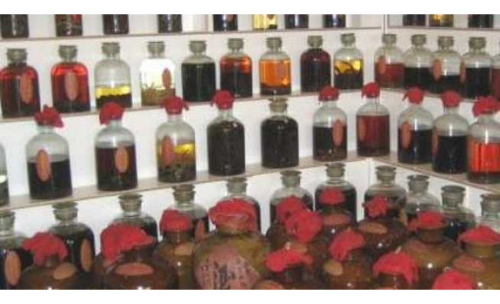 5 BÀI THUỐC BỔ THẬN TRÁNG DƯƠNG