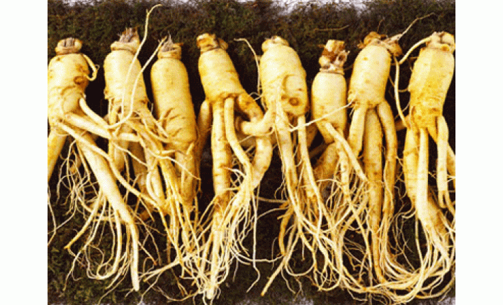 Thảo dược làm giảm stress