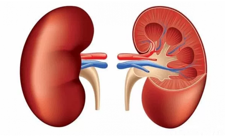 Bí quyết chăm sóc thận khỏe mạnh