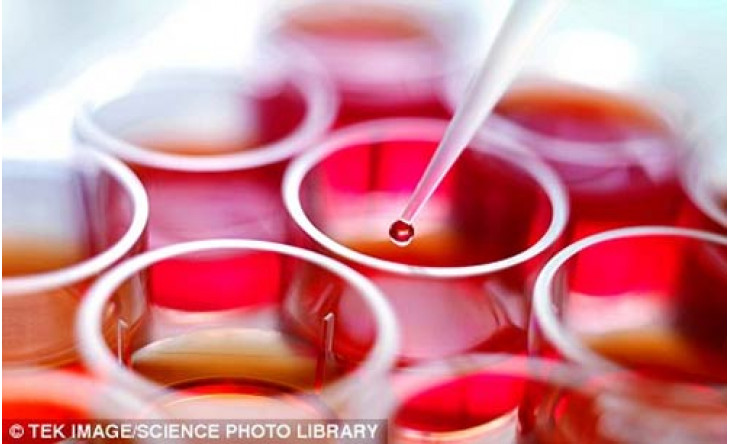 Tế bào gốc - Liệu pháp của tương lai