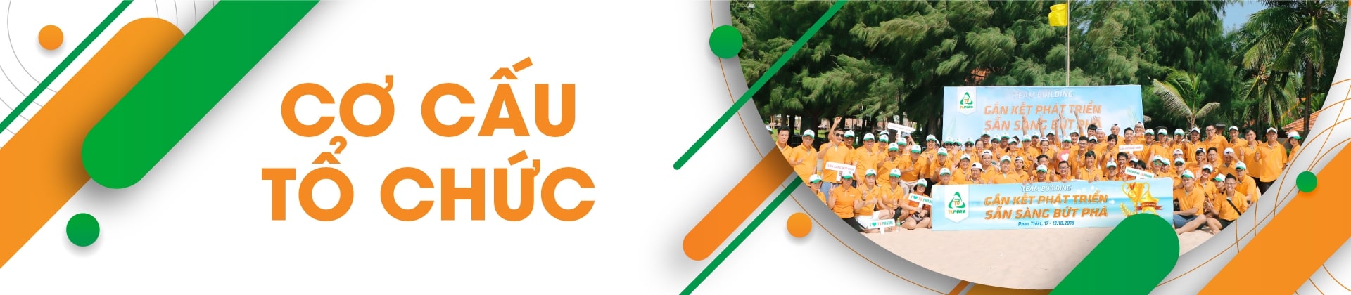 Cơ cấu tổ chức