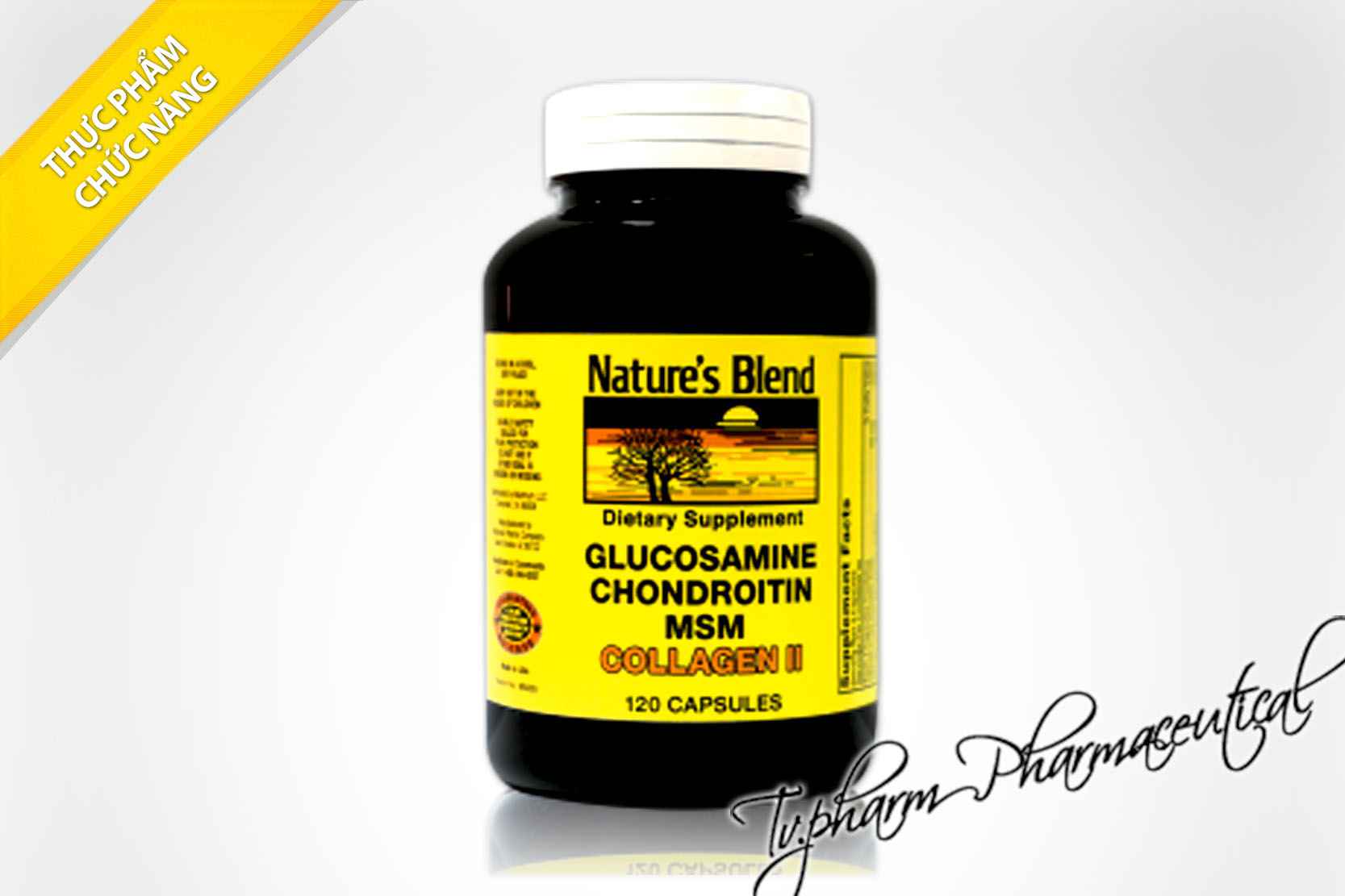 Glucosamine Chondroitin MSM Collagen II