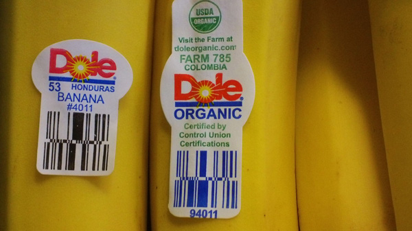 2016 04 thucpham2 11